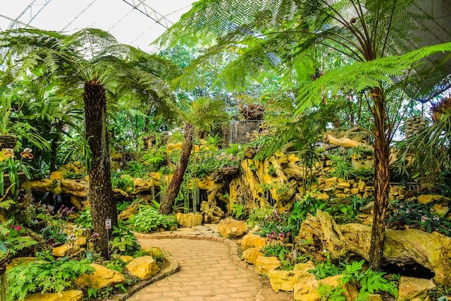 Image of tropic garden with a curvy path