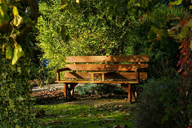 Image of a bench half in the sun and half in the shade