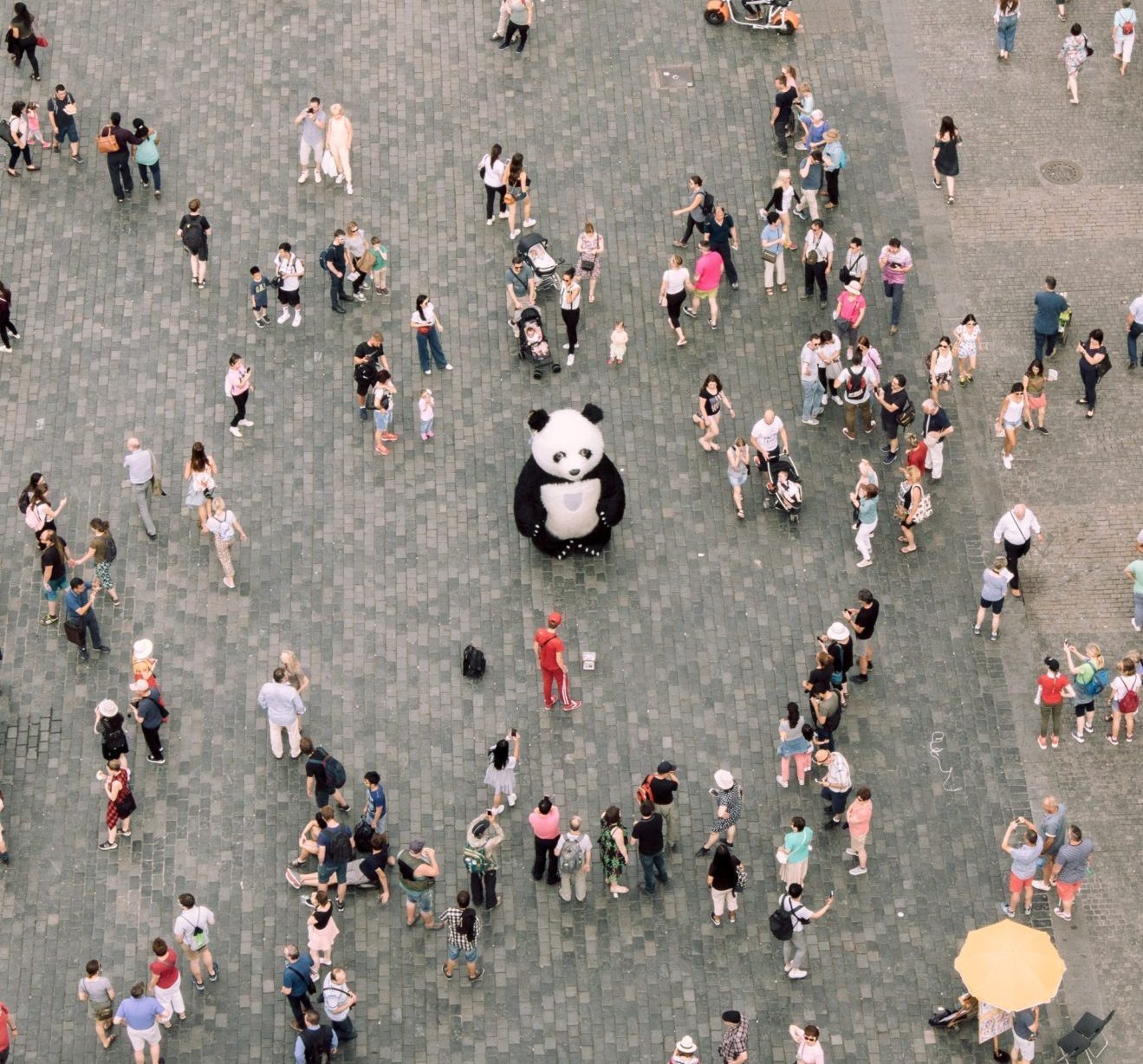 A group of people surrounding a person in a panda costume