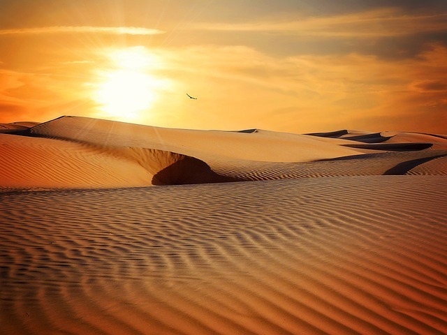 desert, sand, barren